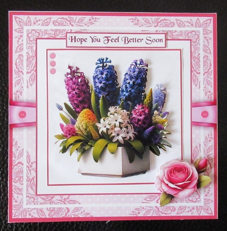 Hyacinth Blooms by Davina Rundle