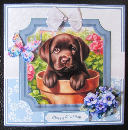 FURRY FLOWERS SET 2 by Davina Rundle