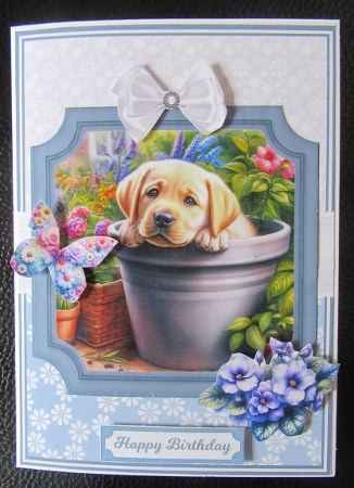 FURRY FLOWERS SET 2 by Davina Rundle