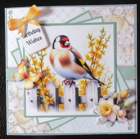 Springtime Birds by Davina Rundle