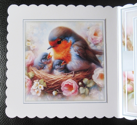Robin And Chicks Mini Page Kit by Davina Rundle