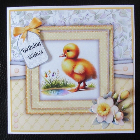 Chicks and Ducklings by Davina Rundle