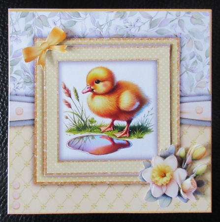 Chicks and Ducklings by Davina Rundle