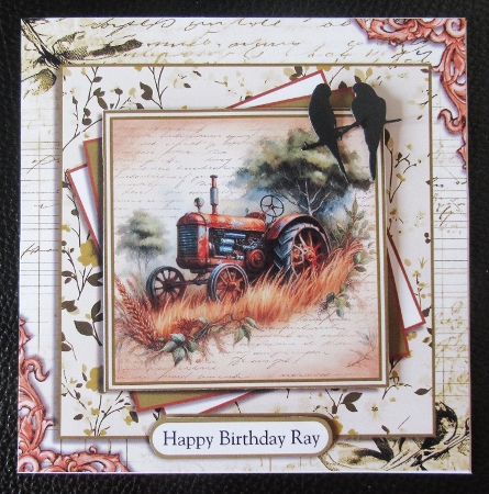 Abandoned Tractor Birthday by Davina Rundle