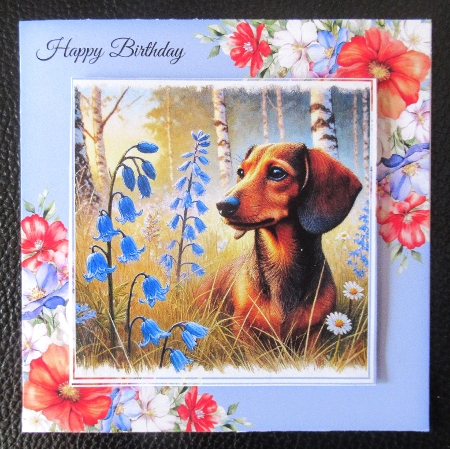 Wildflower Paper by Davina Rundle