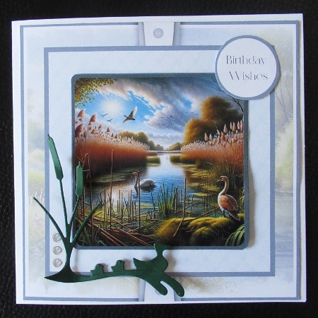 Nature Reserves by Davina Rundle