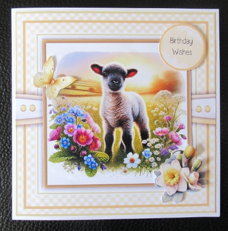 Springtime Lambs by Davina Rundle