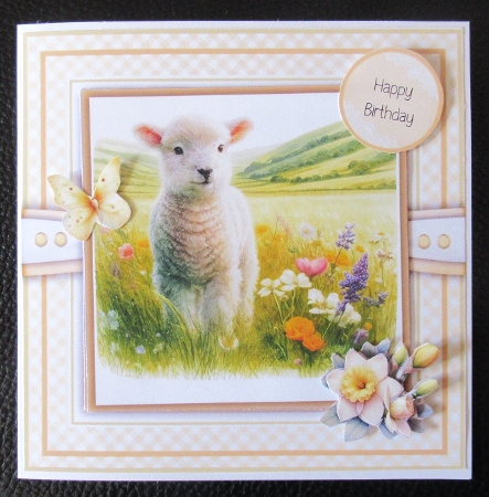 Springtime Lambs by Davina Rundle