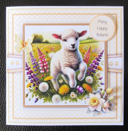 Springtime Lambs by Davina Rundle