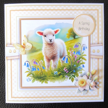 Springtime Lambs by Davina Rundle