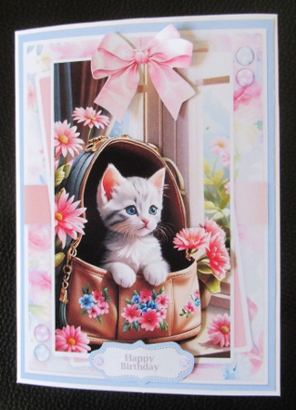 Spring Kitten In A Bag by Davina Rundle