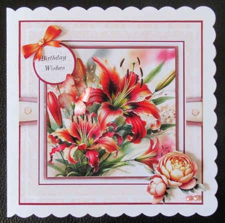 Stunning Fire Lilies by Davina Rundle