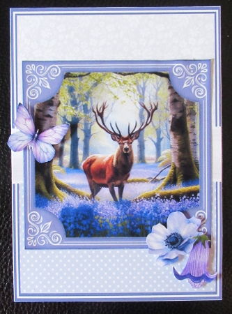 BLUEBELL DEER by Davina Rundle