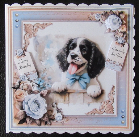 Paw Prints (Springer Spaniel) by Davina Rundle