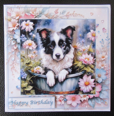 Border Collie Puppy in a Bucket Mini Kit by Davina Rundle