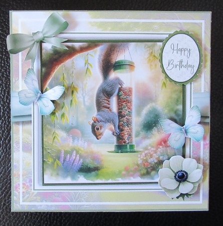 Cheeky Garden Squirrels by Davina Rundle