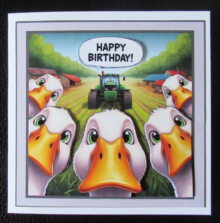 just ducks by Davina Rundle