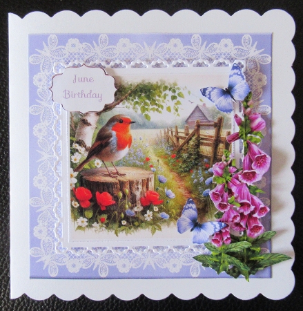 Countryside Robins by Davina Rundle