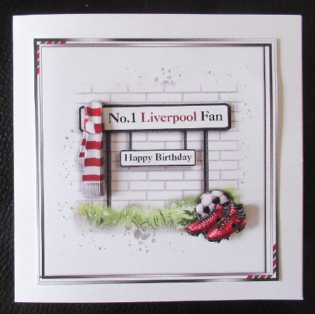 No.1 Liverpool Fan by Davina Rundle