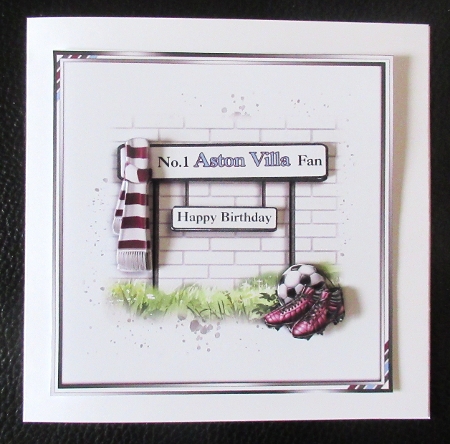 No.1 Aston Villa Fan by Davina Rundle