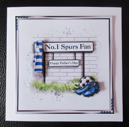 No.1 Spurs Fan by Davina Rundle