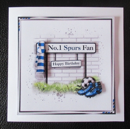 No.1 Spurs Fan by Davina Rundle