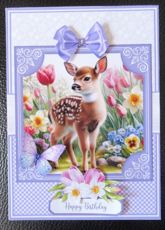 SPRING WILDLIFE by Davina Rundle