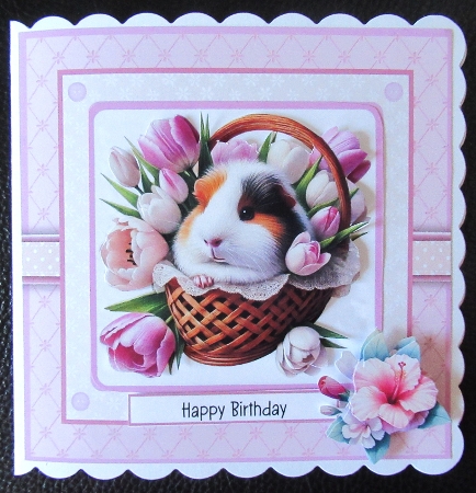 Cheeky Little Guinea Pigs by Davina Rundle