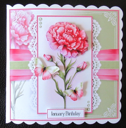 January Carnation Birthday by Davina Rundle