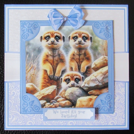 ON THE LOOKOUT FOR CAKE by Davina Rundle