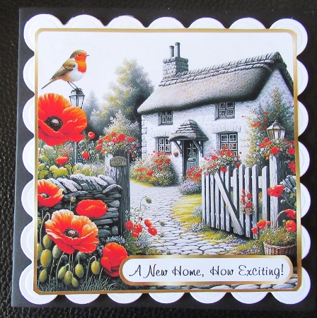 robins and poppies by Davina Rundle
