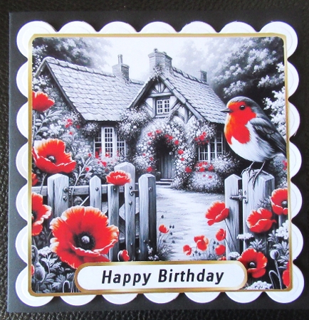 robins and poppies by Davina Rundle