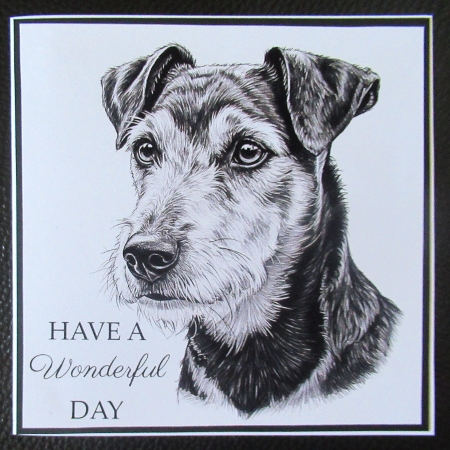 Fine Pencil Dog Prints 13 by Davina Rundle