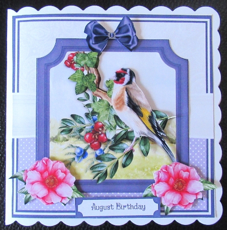 BIRD WATCHING - 6x6 5x7 7x7 by Davina Rundle
