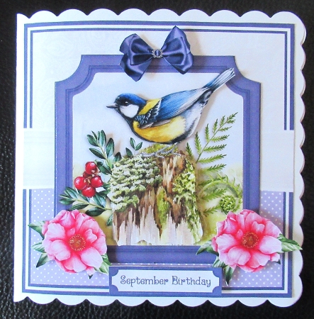 BIRD WATCHING - 6x6 5x7 7x7 by Davina Rundle
