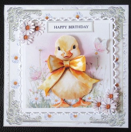 Daisy Chick by Davina Rundle