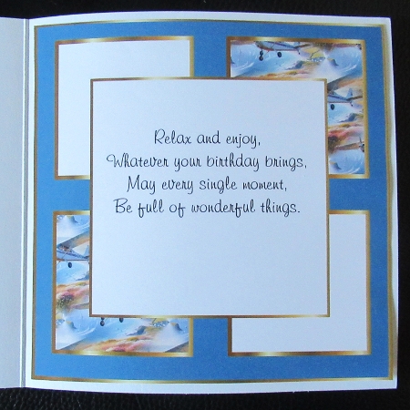 plane1 insert by Davina Rundle