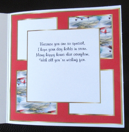 plane 3 insert by Davina Rundle