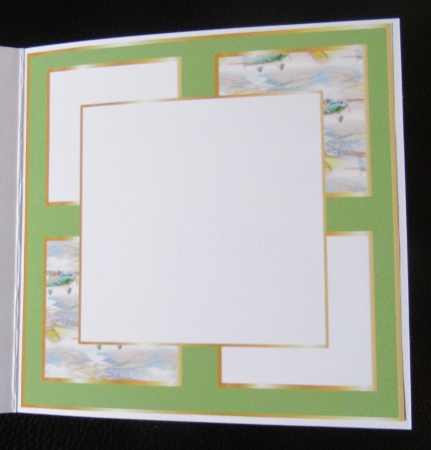 plane 4 insert by Davina Rundle