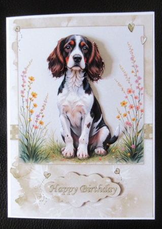 Springer Spaniel A5 Topper and Decoupage by Davina Rundle