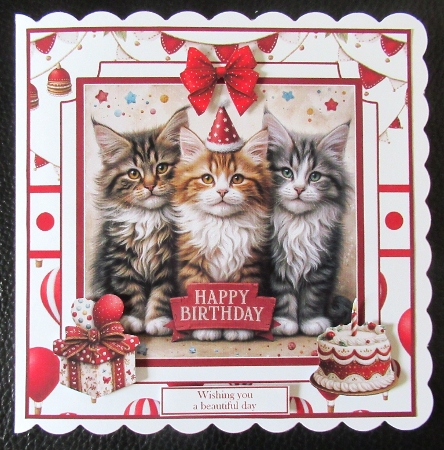 Birthday Cats by Davina Rundle
