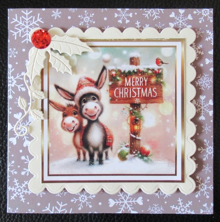 donkeys 2 christmas by Davina Rundle