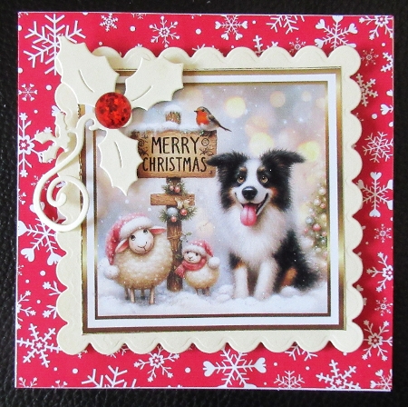 sheep and collie  christmas by Davina Rundle
