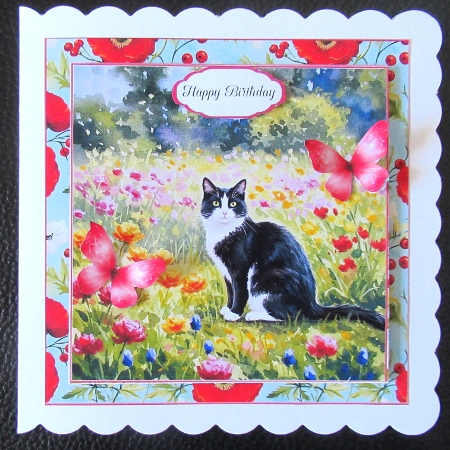 Lovely Garden cats by Davina Rundle