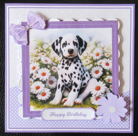 5x7, 7x7, 6x6 - DAISY DOGS by Davina Rundle