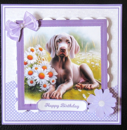 5x7, 7x7, 6x6 - DAISY DOGS by Davina Rundle