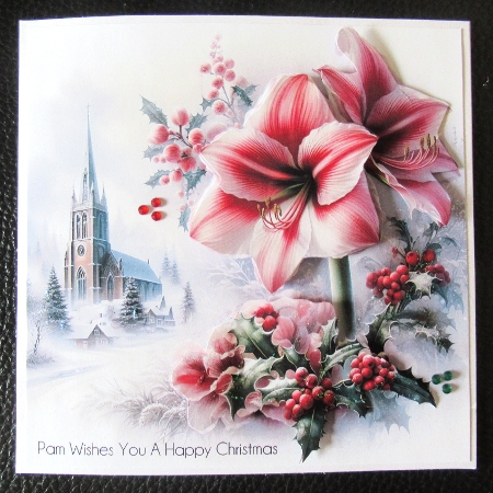 Christmas Amaryllis by Davina Rundle