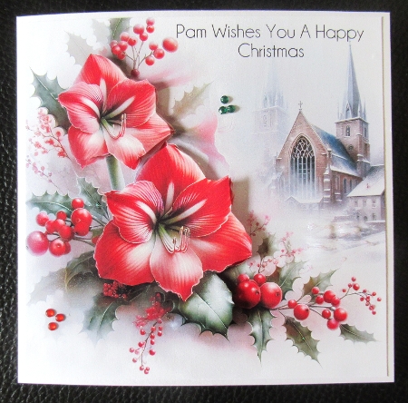 Christmas Amaryllis by Davina Rundle