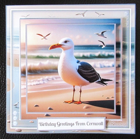 Seagull On The Beach Toppers. by Davina Rundle