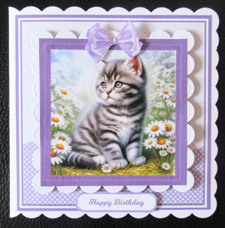 7x7, 6x6, 5x7 - DAISY CATS by Davina Rundle